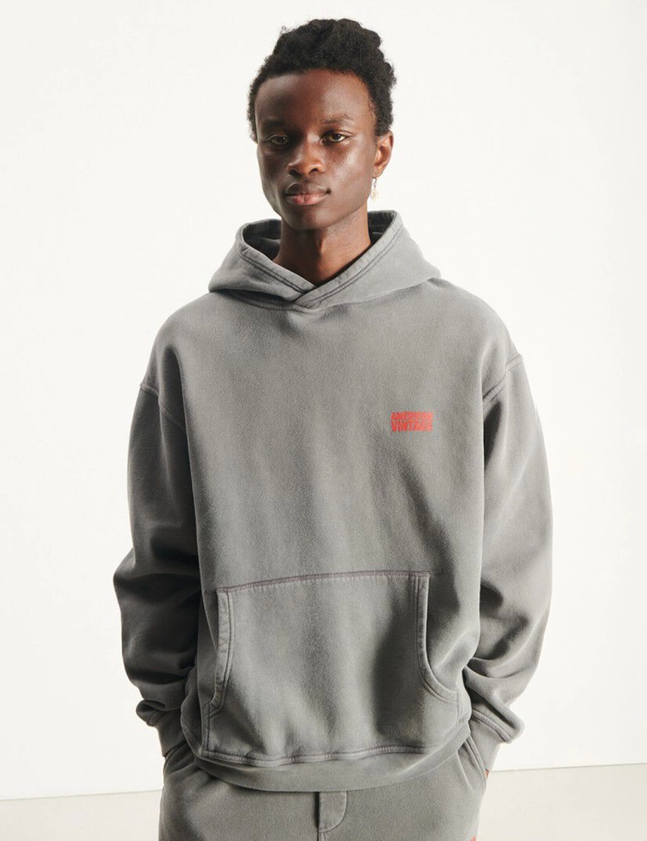 American Vintage Pull Homme à Capuche Plizzy Gris Vintage - 2