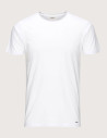 MARKUP T-Shirt Manches Courtes Homme Col Rond Blanc