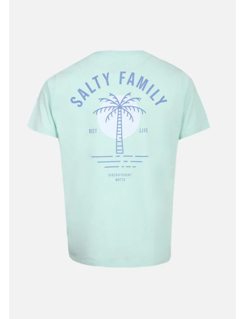 WATTS T-Shirt Homme Manches Courtes Salty Vert Clair - 2