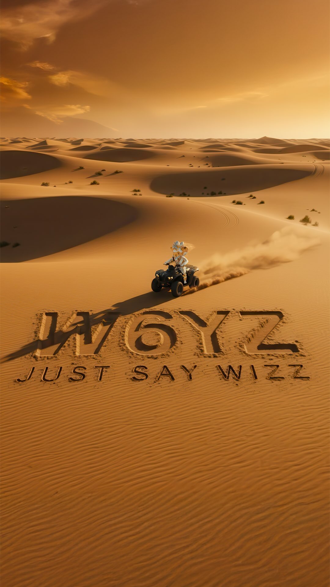 W6YZ : notre avis sur la marque